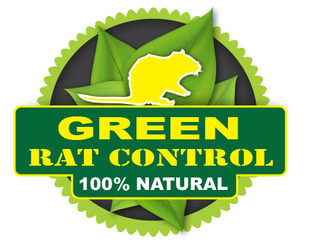 Rodent Control & Attic Cleaning in Los Angeles