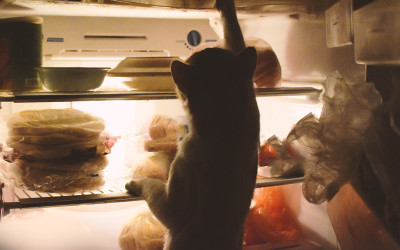 7 Reasons Why You Should Clean Out Your Fridge