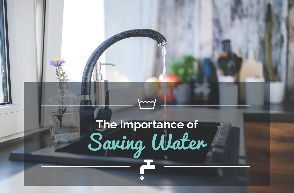 The Importance of Saving Water