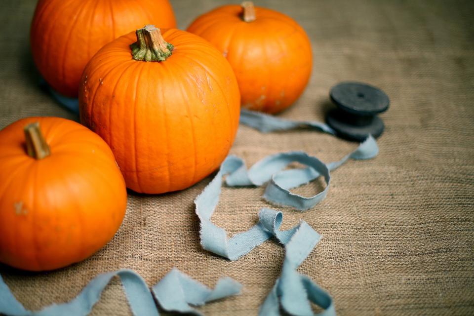 5 Creative Things to Do With Your Pumpkin Seeds & Guts